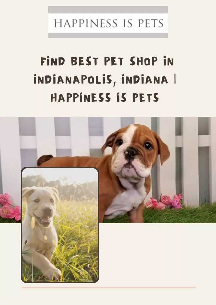 find best pet shop in indianapolis indiana