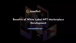 Benefits of White Label NFT Marketplace Development
