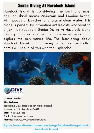 havelock island is considering the best and most
