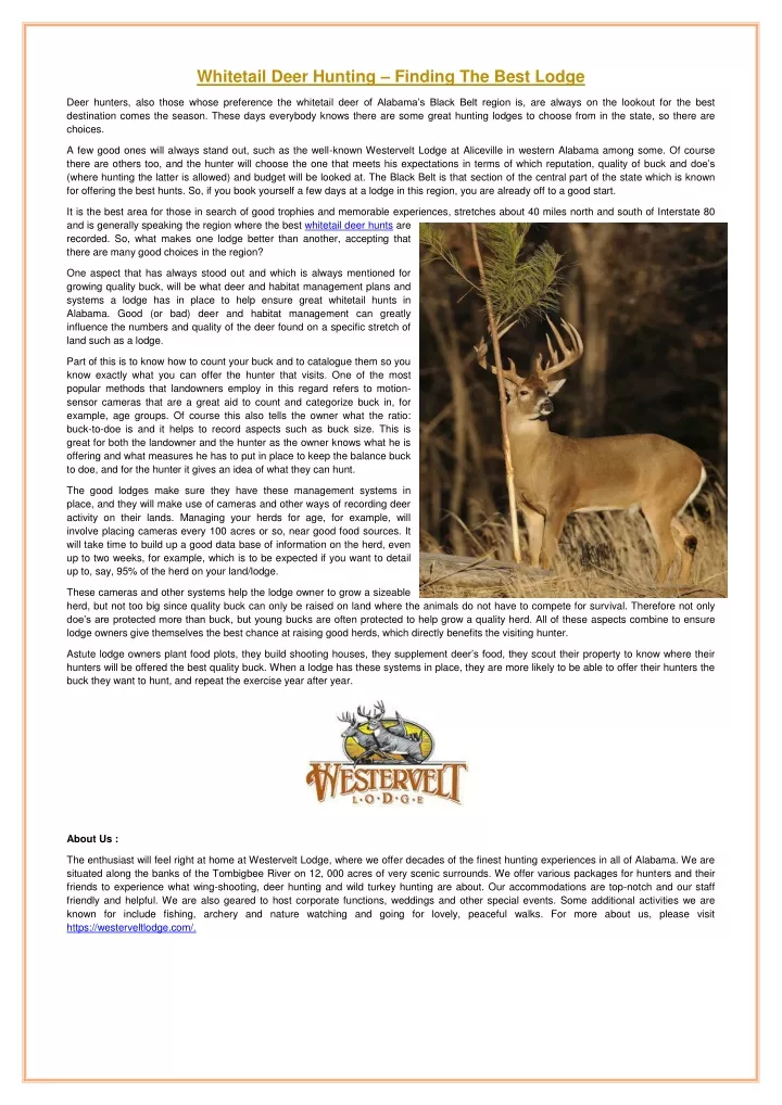 whitetail deer hunting finding the best lodge