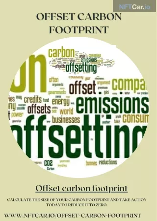 offset carbon footprint calculate the size