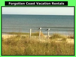 Forgotten Coast Vacation Rentals