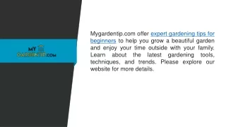 Expert Gardening Tips for Beginners  Mygardentip.com