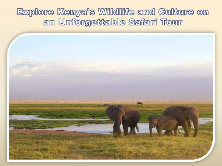 explore kenya s wildlife and culture