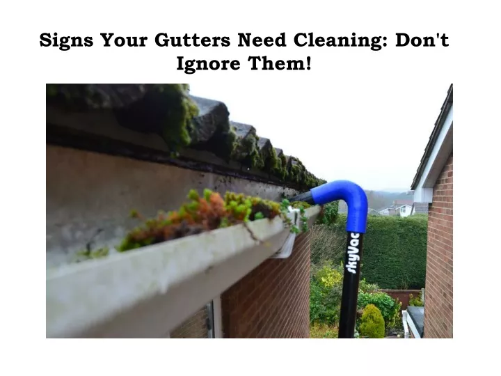 signs your gutters need cleaning don t ignore them