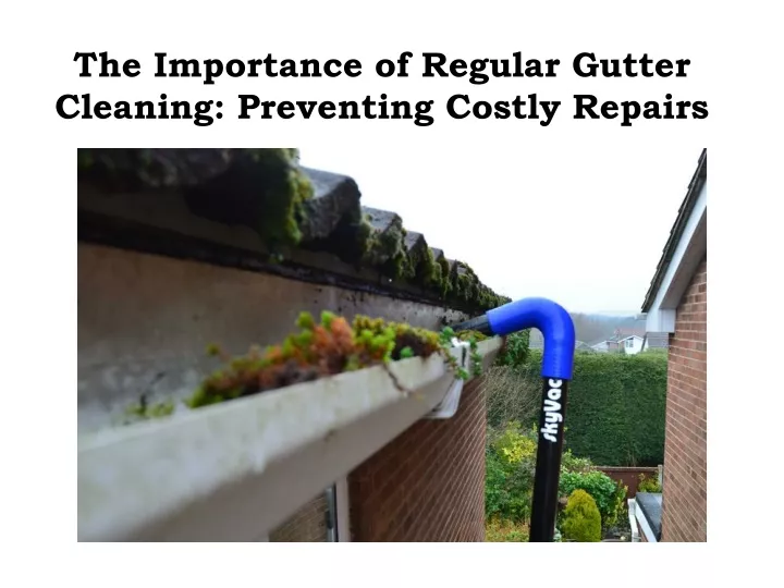 the importance of regular gutter cleaning preventing costly repairs