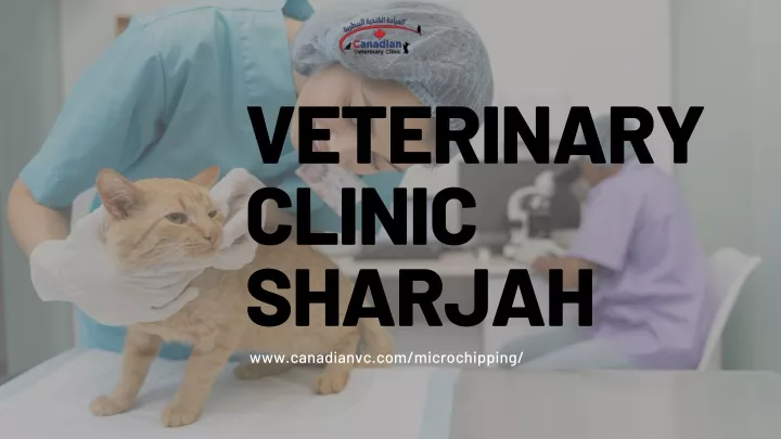 veterinary clinic sharjah www canadianvc