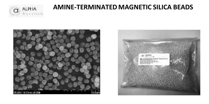 amine terminated magnetic silica beads