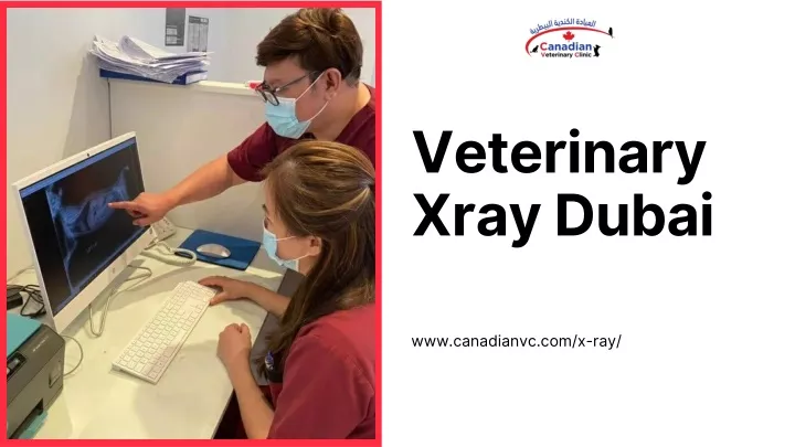 veterinary xray dubai