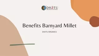 Benefits Barnyard Millet