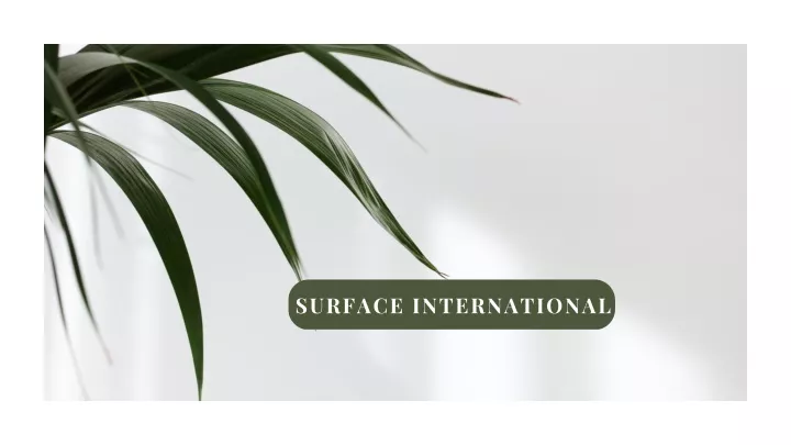 surface international