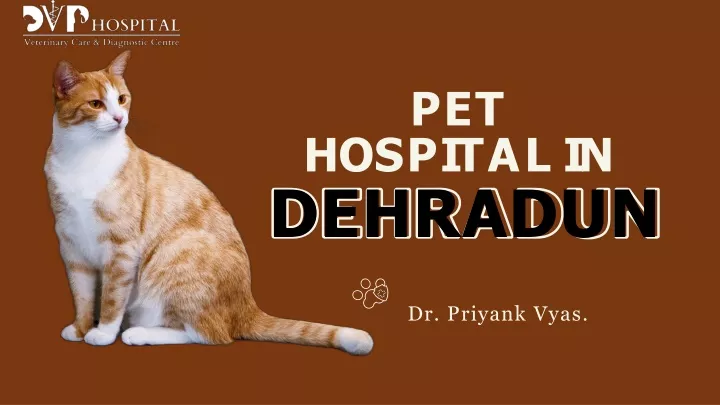 pet h o s p i t a l i n dehradun