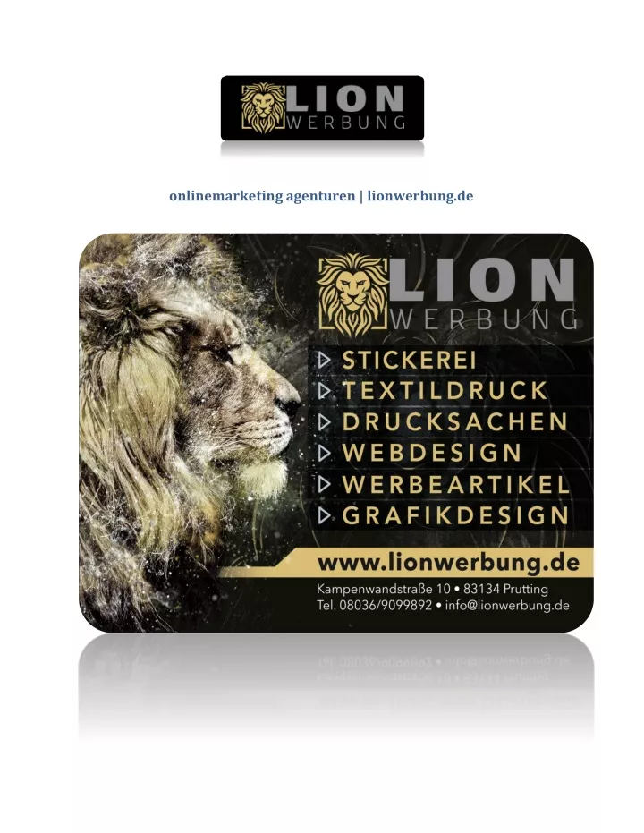 onlinemarketing agenturen lionwerbung de