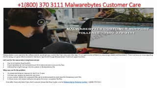+1 (888) 324-5552 Malwarebytes Helpline Number