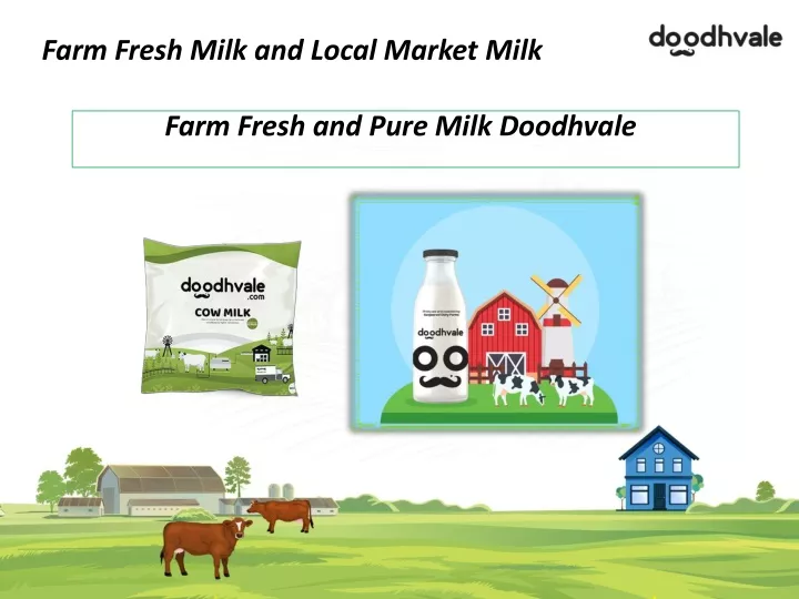farm fresh milk and local market milk farm fresh
