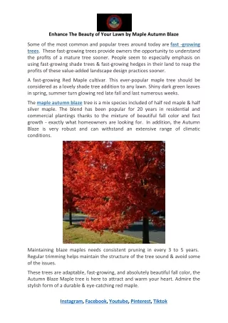 enhance the beauty of your lawn by maple autumn