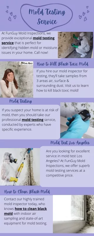 mold testing service