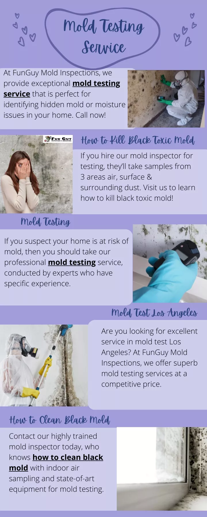 mold testing service