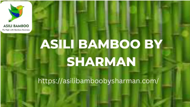 asili bamboo by sharman
