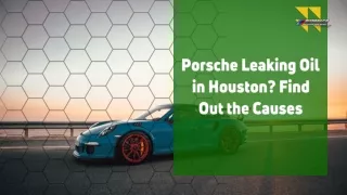 Porsche Leaking Oil in Houston Find Out the Causes