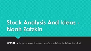 stock analysis and ideas noah zatzkin