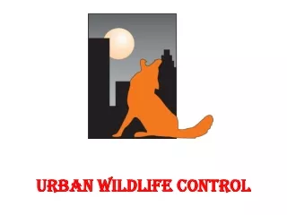 Low-cost pest control services