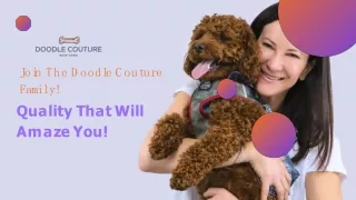 Join The Doodle Couture  Family! Quality That Will  Amaze You!