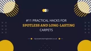 #11 Practical hacks for spotless and long-lasting carpets