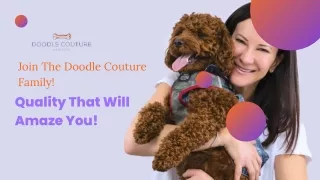 Join The Doodle Couture  Family! Quality That Will  Amaze You!