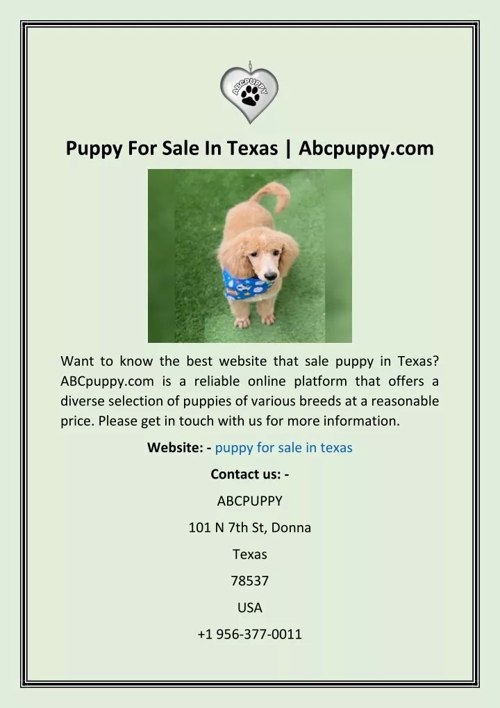 puppy for sale in texas abcpuppy com