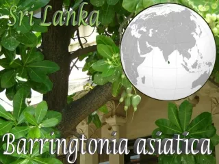 sri lanka