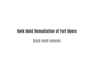 kwik mold remediation of fort myers
