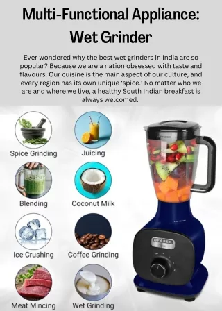 multi functional appliance wet grinder