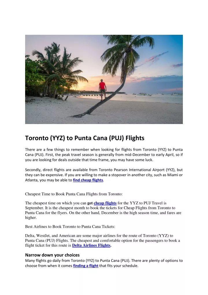 toronto yyz to punta cana puj flights there