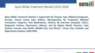 Spina Bifida Treatment Market Opportunities Insights 2023-2030