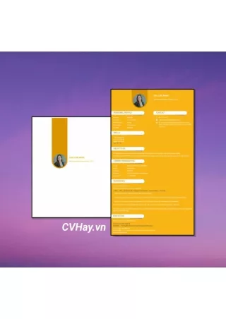 CVHay_Nhân viên bán hàng qua điện thoại