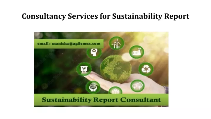 consultancy services for sustainability report