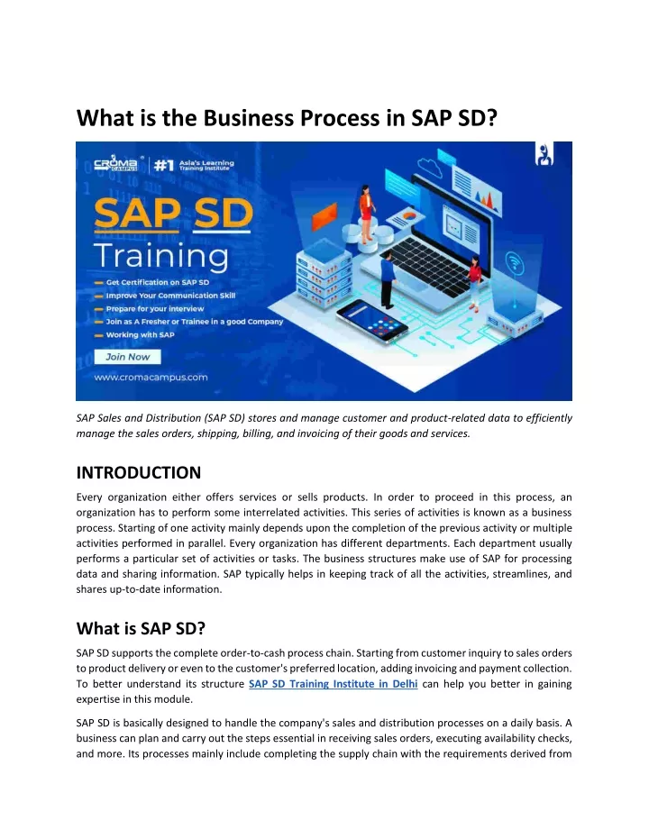 what is the business process in sap sd