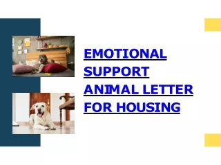 Emotional Support Animal Letter For Housing
