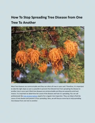How To Stop Spreading Tree Disease from One Tree To Another