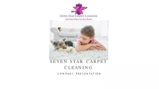 Sofa Cleaning Services