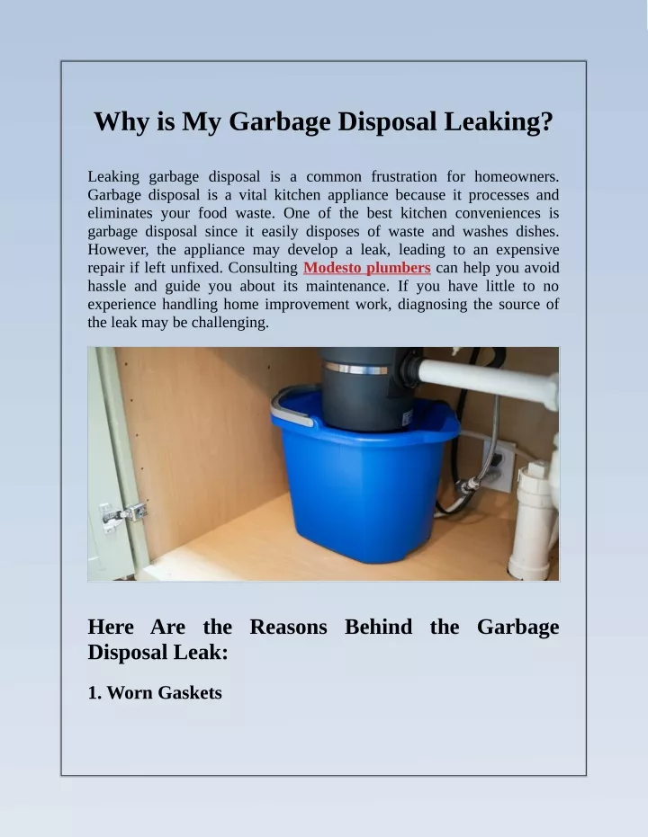 PPT What Causes Leaking Garbage Disposal? PowerPoint Presentation