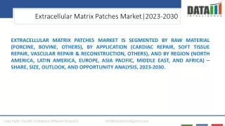 Extracellular Matrix Patches Market Competitive Landscape 2023-2030