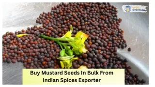 Buy Mustard Seeds In Bulk From Indian Spices Exporter - Vyom Overseas