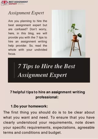 assignment expert