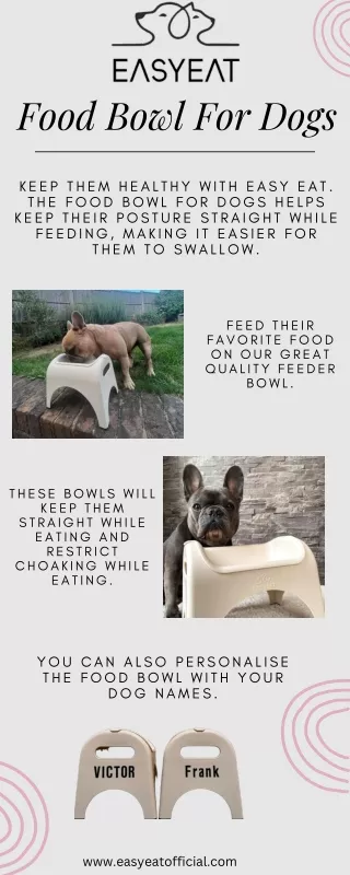 Food Bowl For Dogs