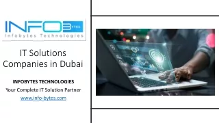 it solutions companies in dubai