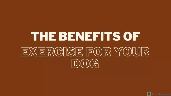 the benefits of