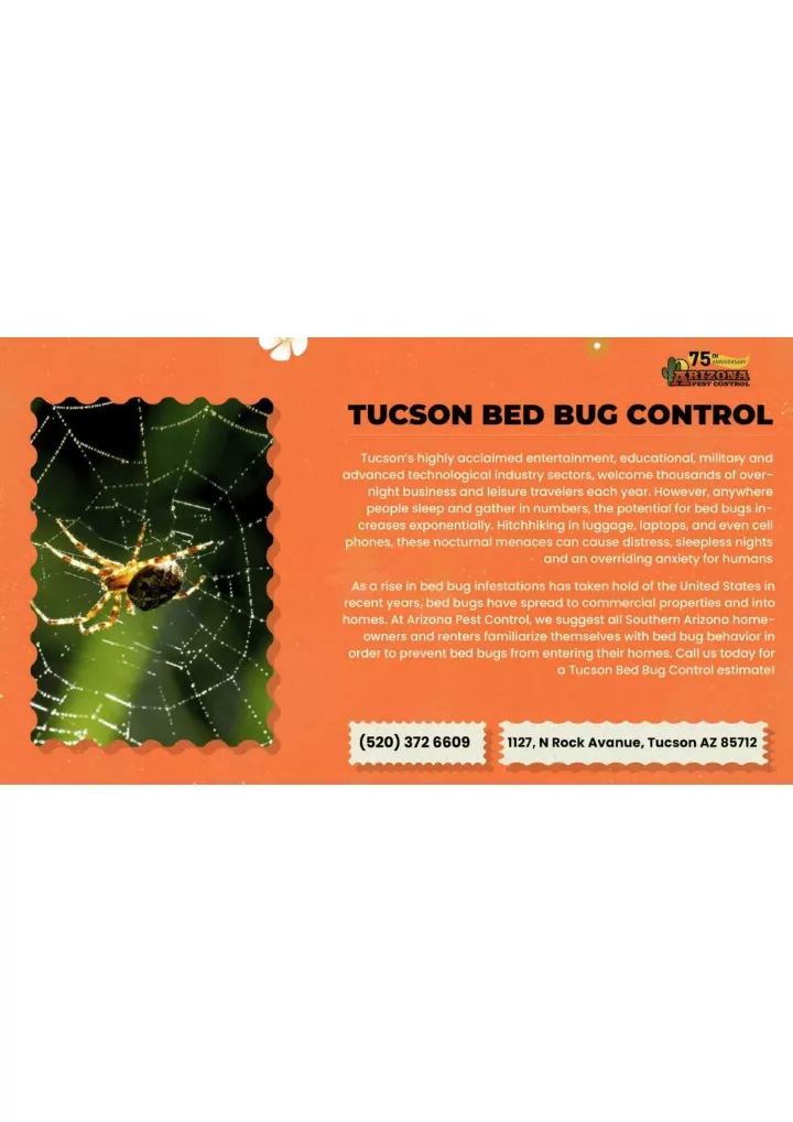 PPT - Tucson Bed Bug Control AZP PowerPoint Presentation, Free Download ...