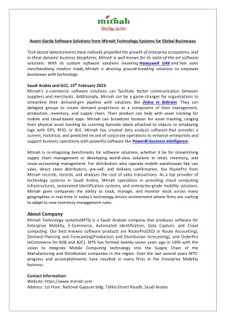 Avant-Garde Software Solutions from Mirnah Technology Systems for Global Businesses